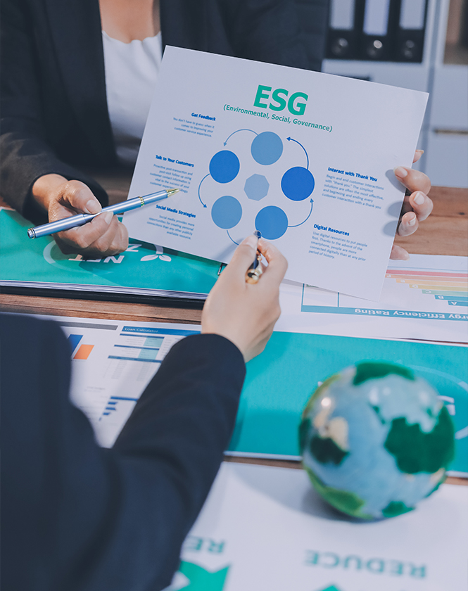 sustainability projects