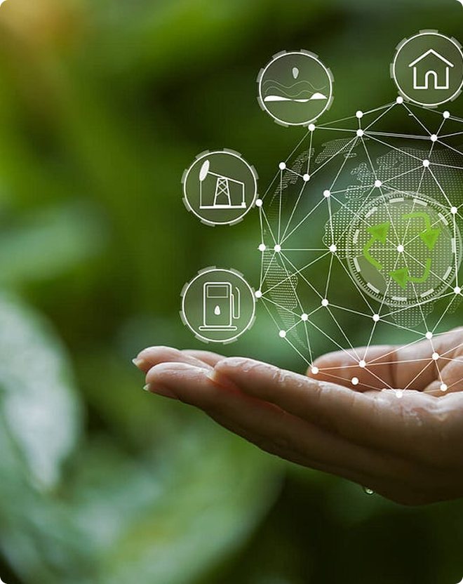 sustainability projects